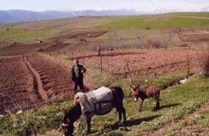 Farm scene on the road to Karabagh (Photo by Tom Vartabedian)