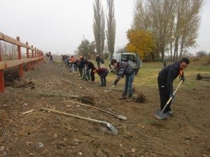 ATP has been providing fruit and decorative trees to Nor Kharberd Boarding School for many years; the latest planting was in November with diasporans from the Armenian Volunteer Corps. 