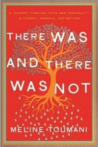 Cover of Toumani's There Was and There Was Not