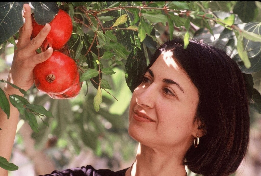 Andreea Sarchisian of Los Angeles helps herself to a pomegranate tree while touring Armenia. (Photo: Tom Vartabedian)