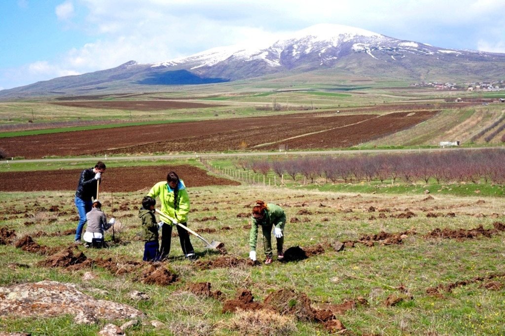 ATP planted another 58,200 trees at 134 sites this spring; volunteers are pictured here planting in the community of Aragyugh for Earth Day.