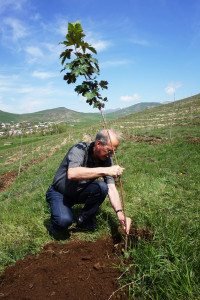 The 10 Living Century forest sites correspond to regions in historic Armenia and will be planted in the Shirak, Lori, and Kotayk regions of present-day Armenia.