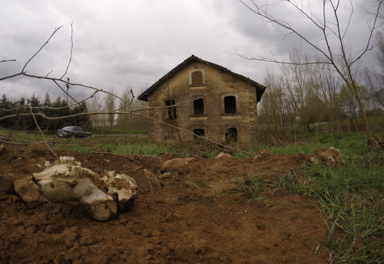 Treasure hunters in search of Armenian gold have dug holes in the vicinity of the Armash Armenian mill