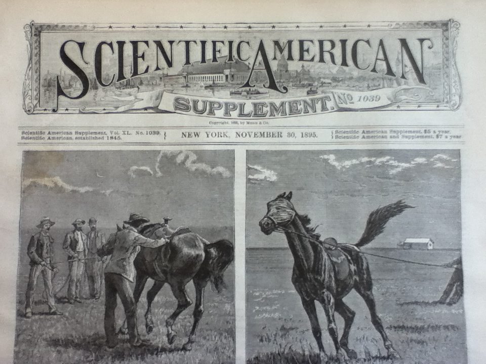 Scientific American Supplement ran an article titled “The Massacres in Armenia,” accompanied by a woodcut print captioned “Trebizond, the Scene of the Armenian Massacre,” in its Nov. 30, 1895 issue. 