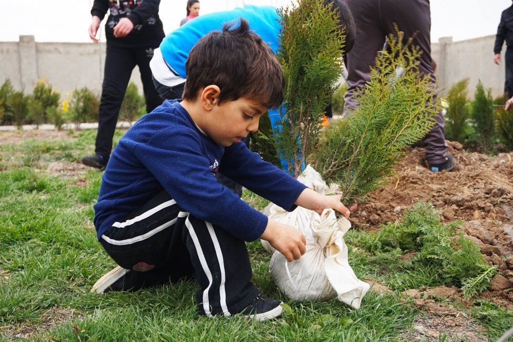 A young volunteer helps to plant one of the trees grown at ATP’s nursery in Karin Village.