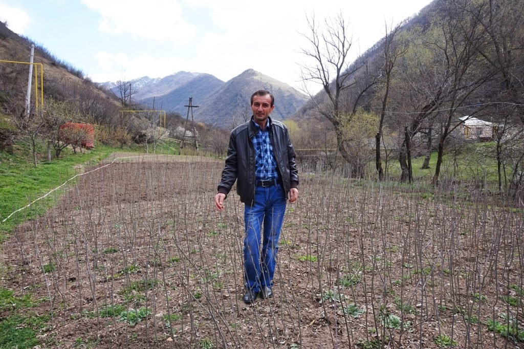 Kamo Mirzoyan with new trees