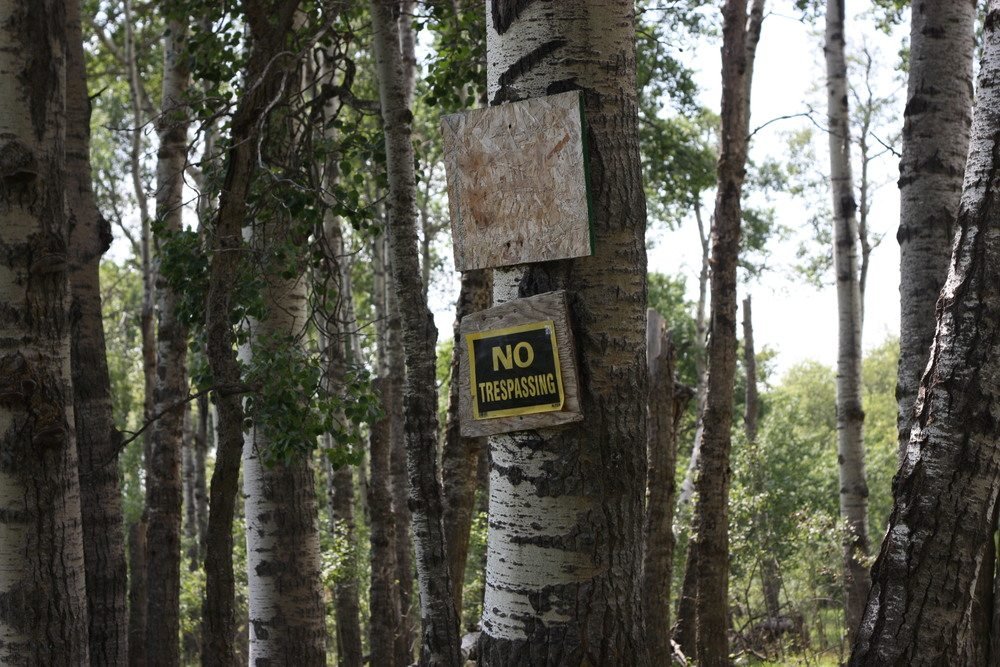 '...I disregarded the "no trespassing" sign as I drove the dirt road entering her family's 40 acres...'